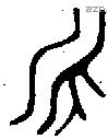 永字金文源流