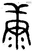 康字金文源流