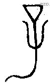子字金文源流