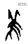 雚字甲骨文源流