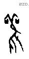 雚字甲骨文源流