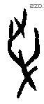 争字甲骨文源流