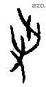 争字甲骨文源流