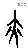 亦字甲骨文源流