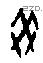 癸字甲骨文源流