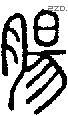 腸字说文字源
