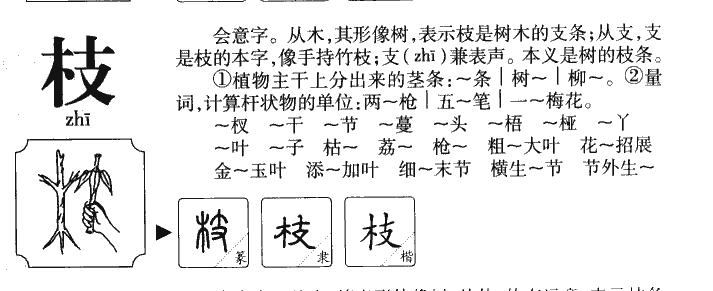 枝字字源字典