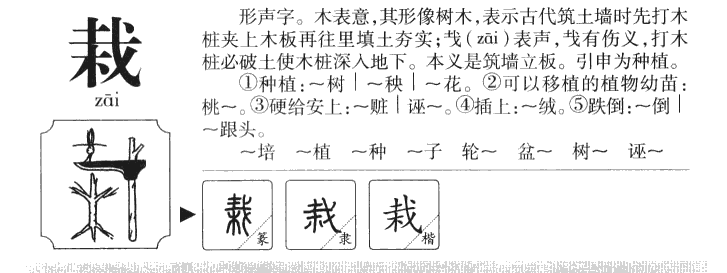 栽字字源字典