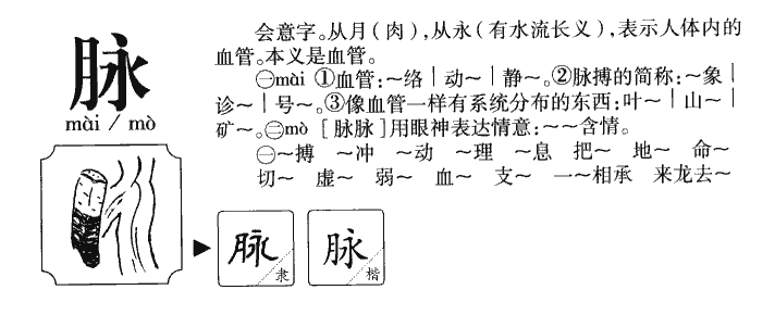 脉字字源字典