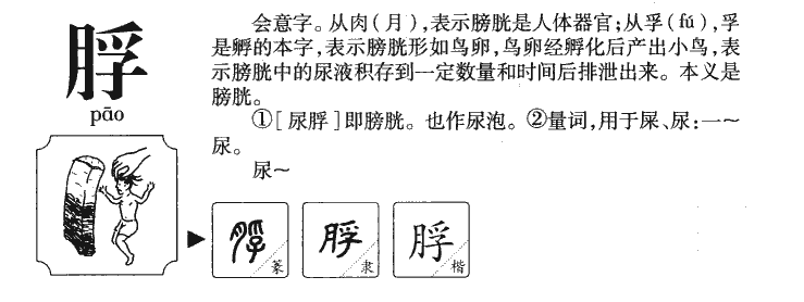 脬字字源字典