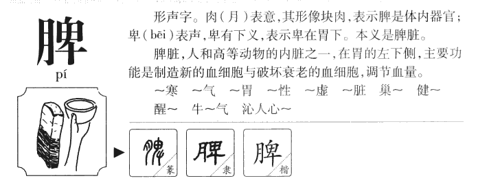 脾字字源字典