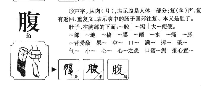腹字字源字典