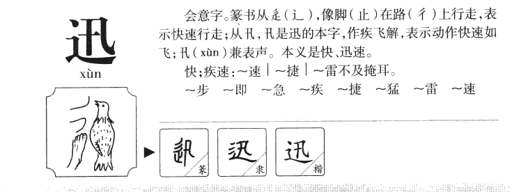 迅字字源字典