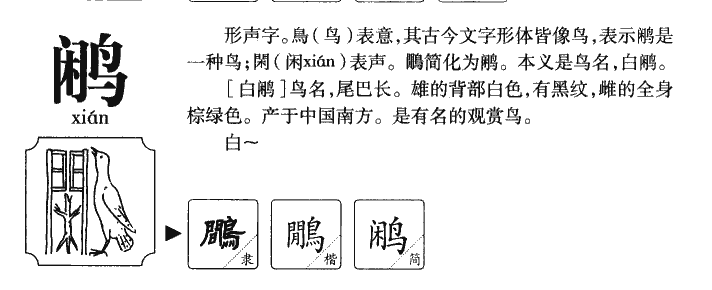 鹇字字源字典