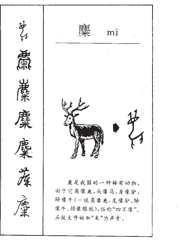 麋字字源字典