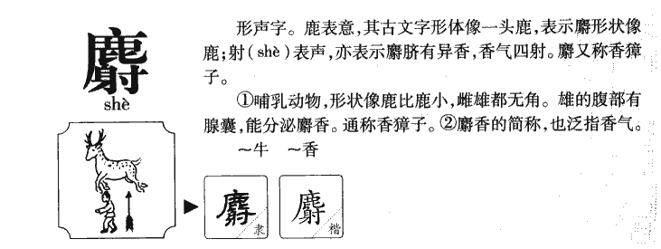 麝字字源字典